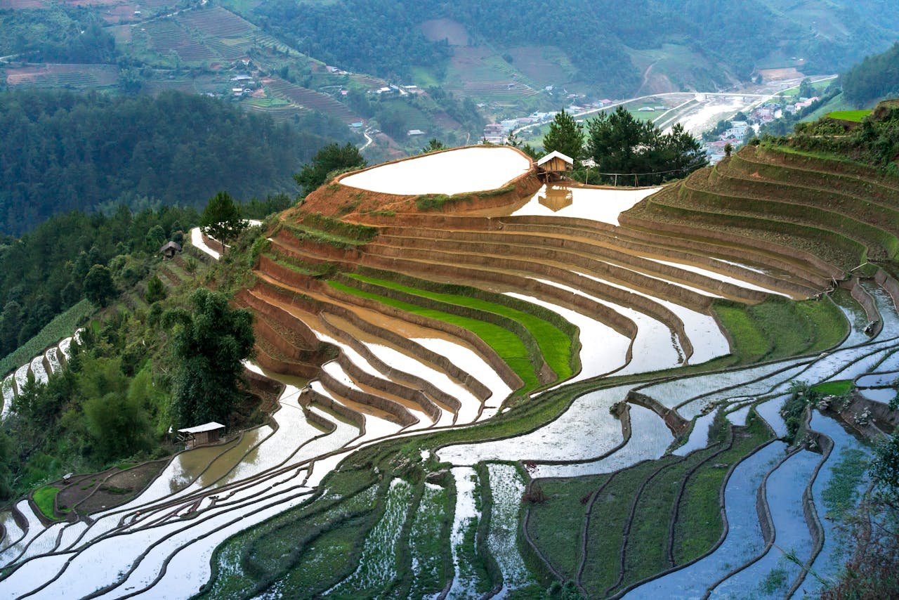 Breathtaking aerial view of lush green rice terraces in a mountainous landscape, reflecting the sky.